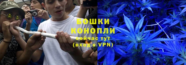 марки lsd Белокуриха