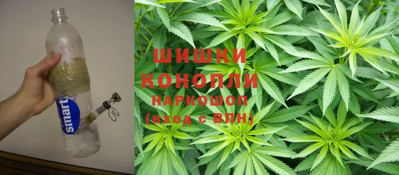 хочу наркоту  Усть-Джегута  Конопля OG Kush 